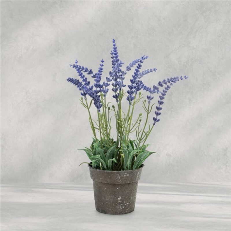 LILA EN MACETA X 14 30CM