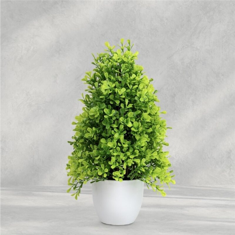 PIRAMIDE EUCALIPTO MACETA 33X20 CM