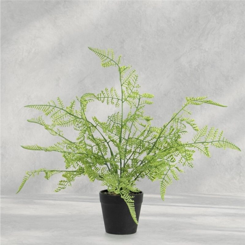 HELECHO EN MACETA 36CM