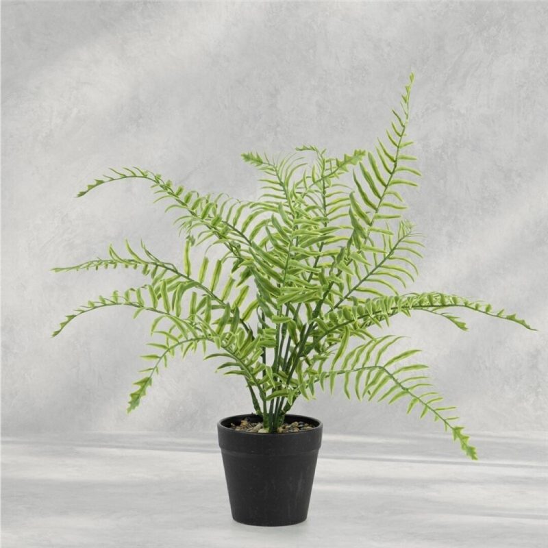 HELECHO EN MACETA 36CM