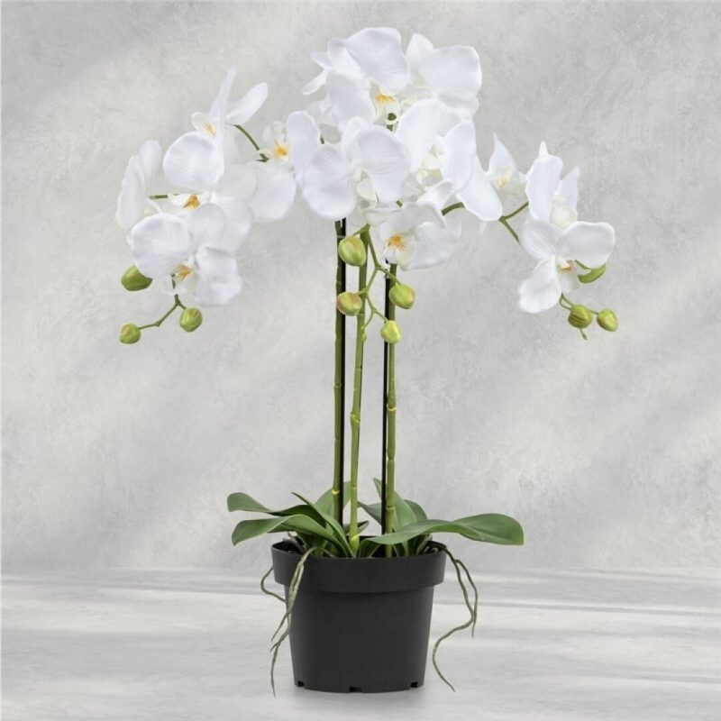 ORQUIDEA EN MACETA X 3 60CM