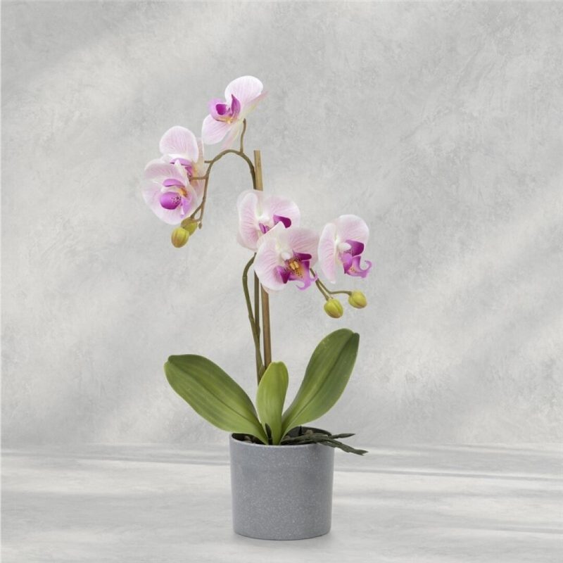 ORQUIDEA NATURAL EN MACETA 40CM LILA