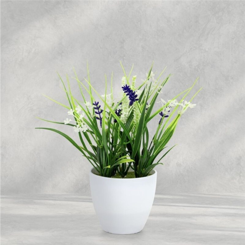 LAVANDA EN MACETA 20CM