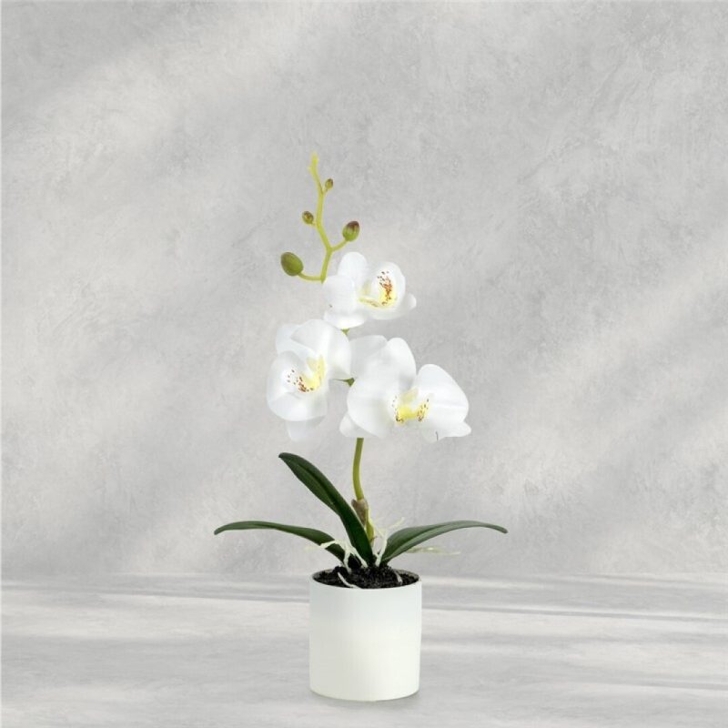 ORQUIDEA EN MACETA 27CM BLANCO