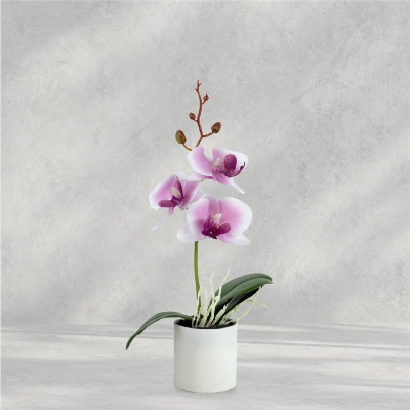 ORQUIDEA EN MACETA 27CM LILA