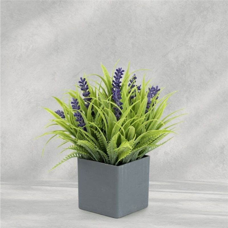 LAVANDA EN MACETA 18CM