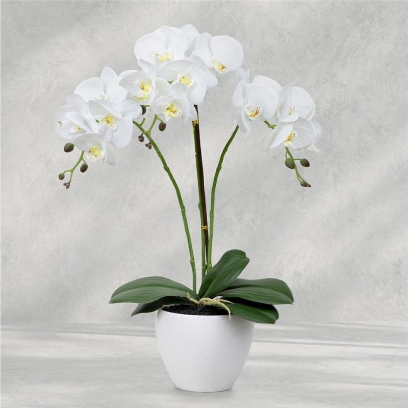 ORQUIDEA EN MACETA X 3 56CM T/N BLANCO