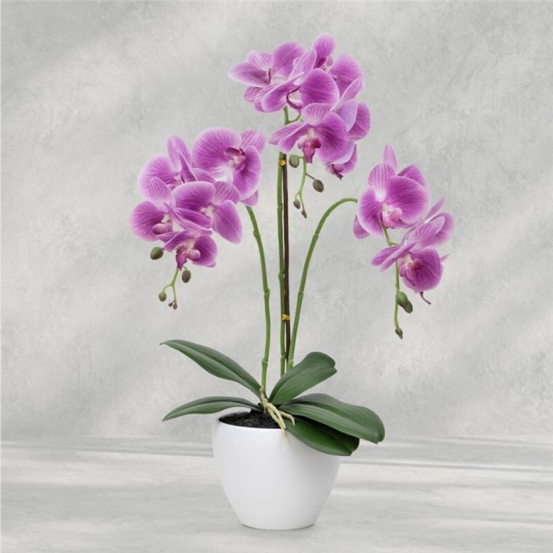 ORQUIDEA EN MACETA X 3 56CM T/N LILA
