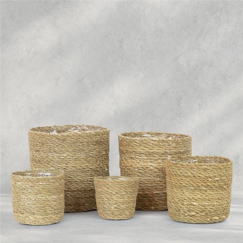 CESTO MIMBRE X 5 F/PLASTICO 20X20 18 15 12 10 CM